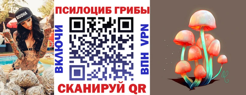 Псилоцибиновые грибы прущие грибы  Менделеевск 